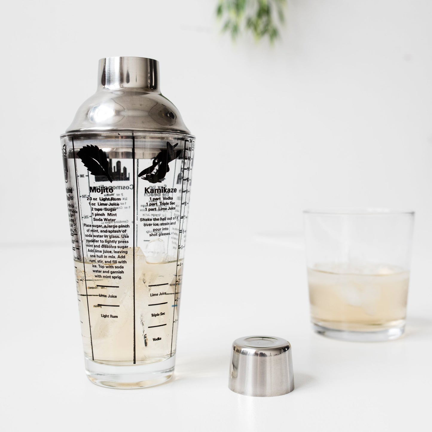 Mix Master Cocktail Shaker